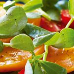 Ensalada de jitomate con verdolagas