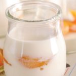 gelatina con chabacano