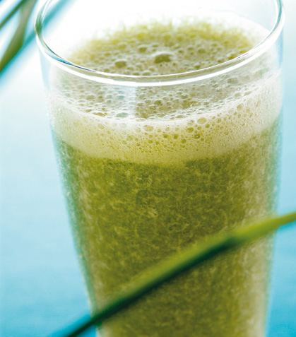 De nopal con sábila