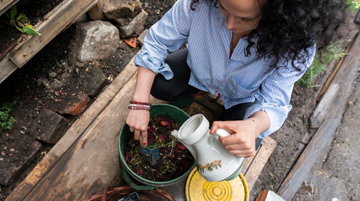 abono orgánico para plantas casero