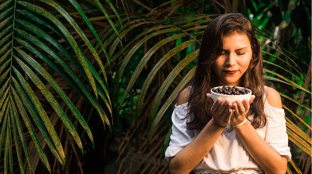 Acaí berry: conoce sus beneficios
