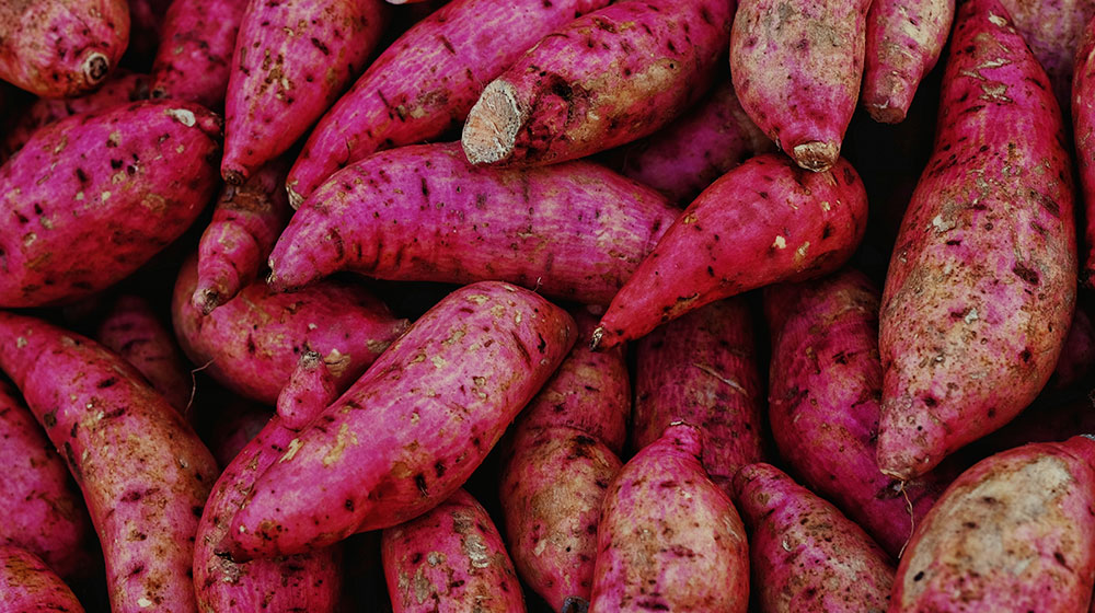 Incre bles Beneficios Del Camote Para Tu Salud Con celos Incre bles Beneficios Del Camote Para Tu Salud Con celos