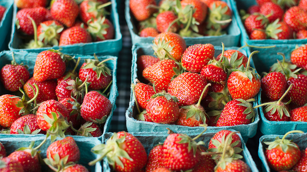 Cómo elegir fresas