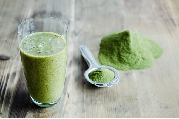 moringa en polvo