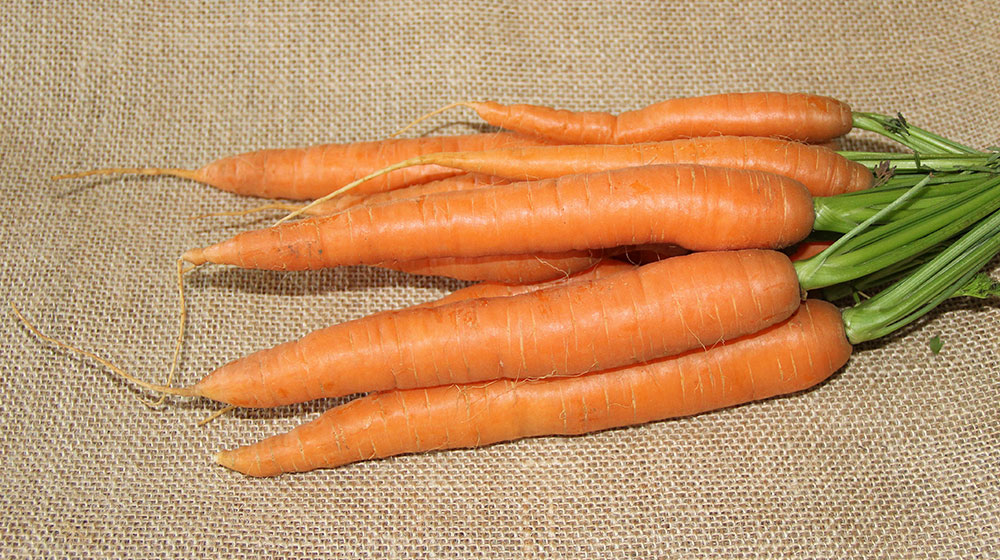 9 Beneficios de la zanahoria increíbles