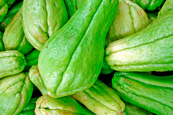 chayote