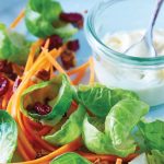 Ensalada de verduras crudas con mayonesa de chile serrano