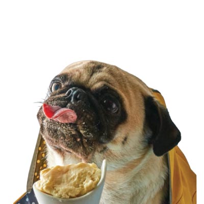 perritos con helado
