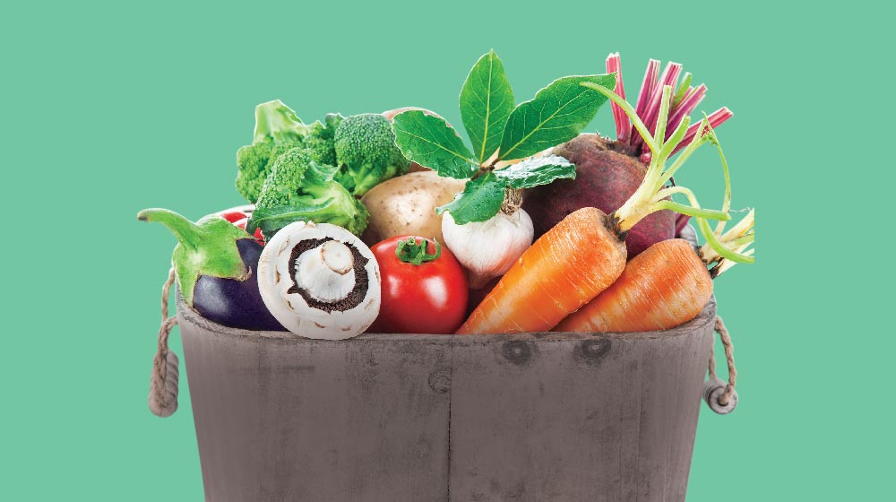 alimentos vegetarianos