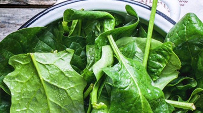 10 Razones Para Comer Más Verduras De Hojas Verdes