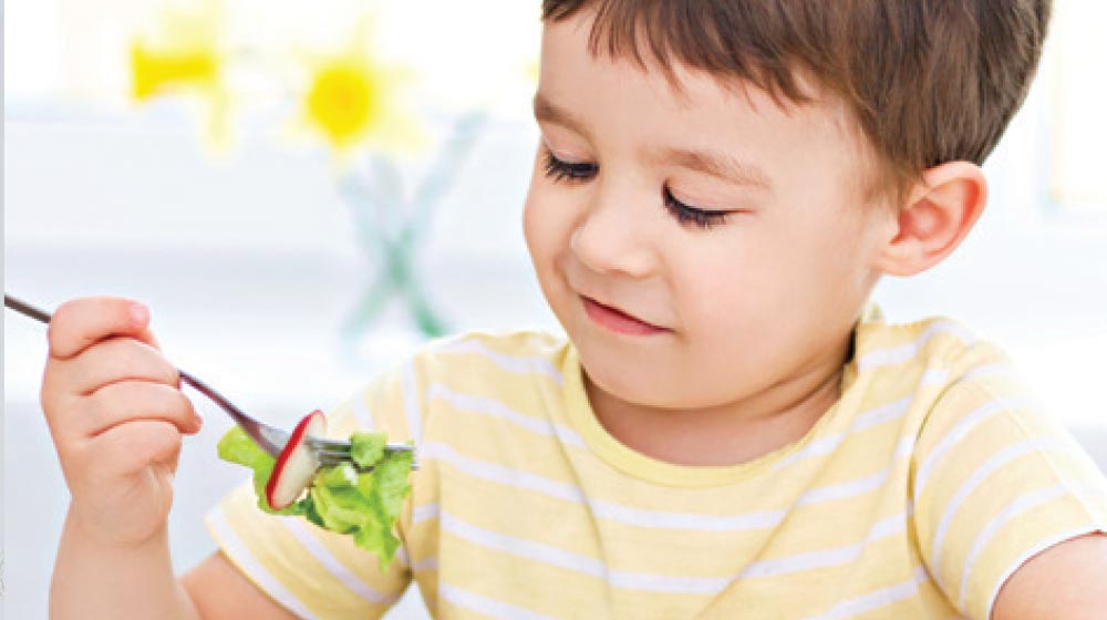 Plan de alimentación para niños en este regreso a clases