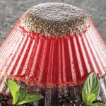 gelatina de fresa, zarzamora y chía