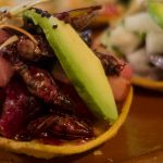  tacos de Chapulines