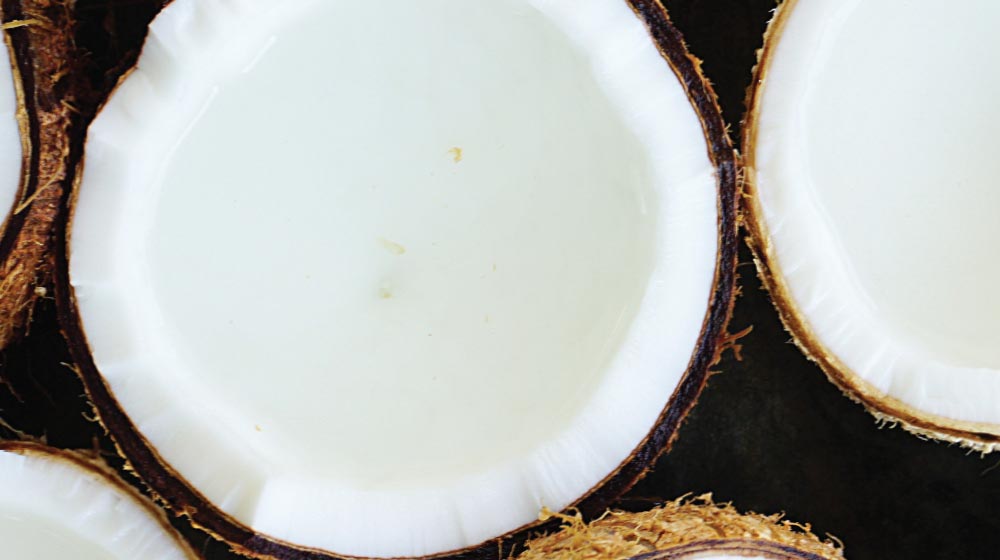 22 recetas que puedes preparar con coco realmente deliciosas