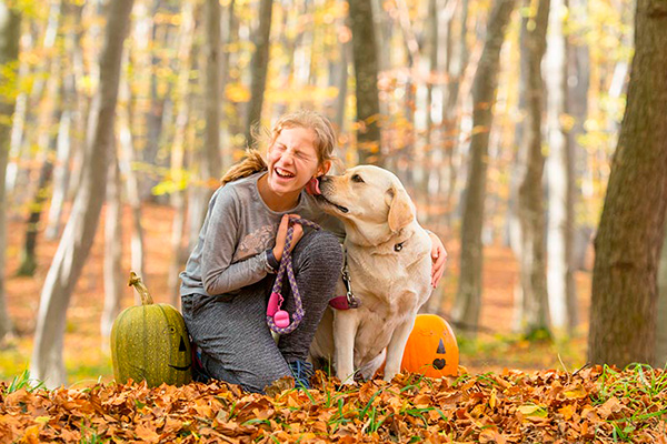Calabaza de Castilla para perro