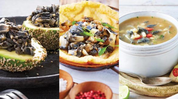 recetas con huitlacoche y sus increíbles beneficios