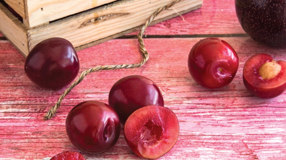 15 recetas con todo el sabor de la ciruela: tienes que probarlas