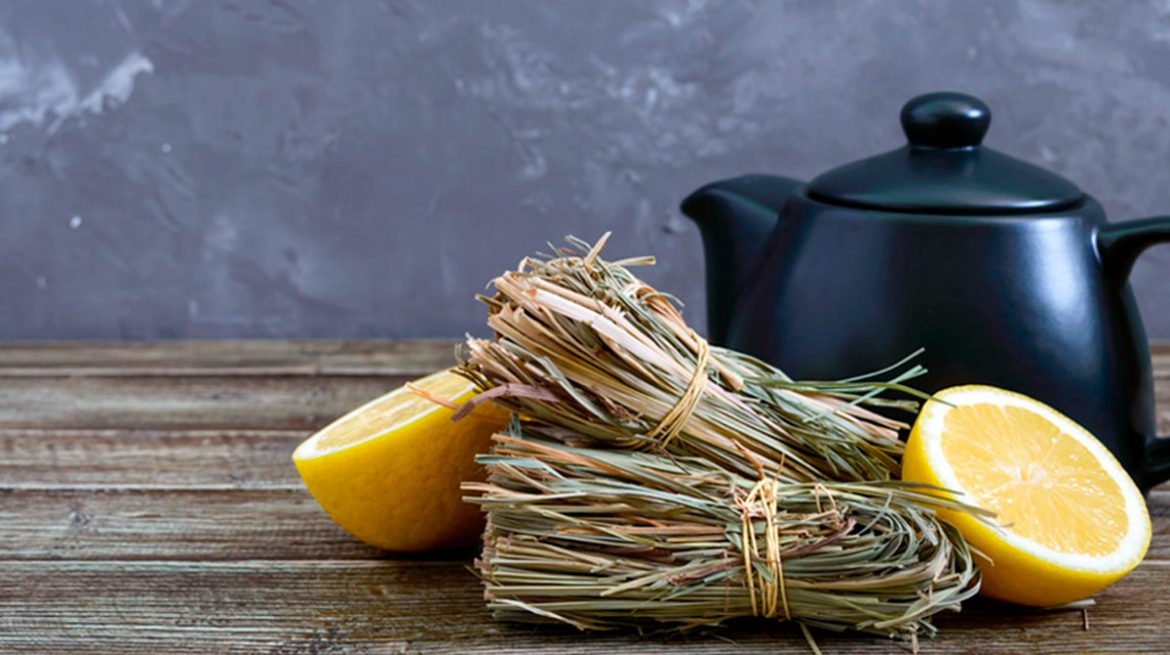 Té de zacate de limón