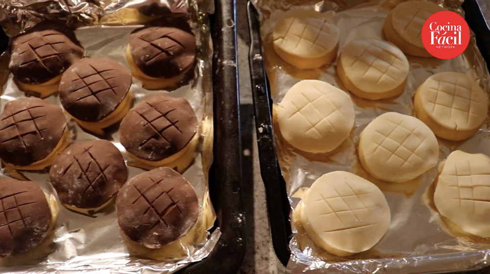 conchas de chocolate y vainilla