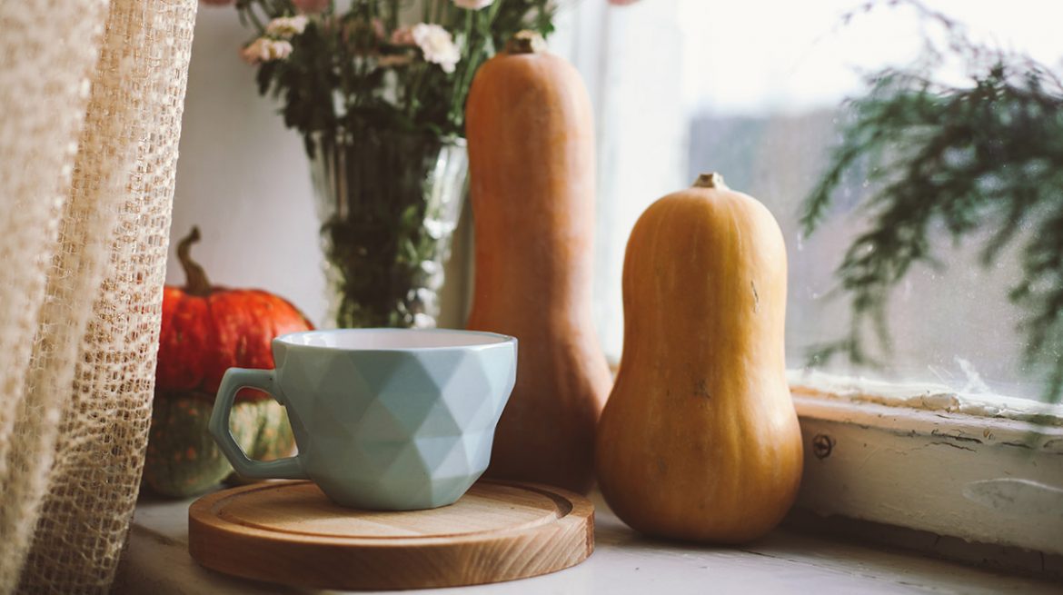 Flor De Calabaza: Beneficios De Prepararla En Té Para La Salud