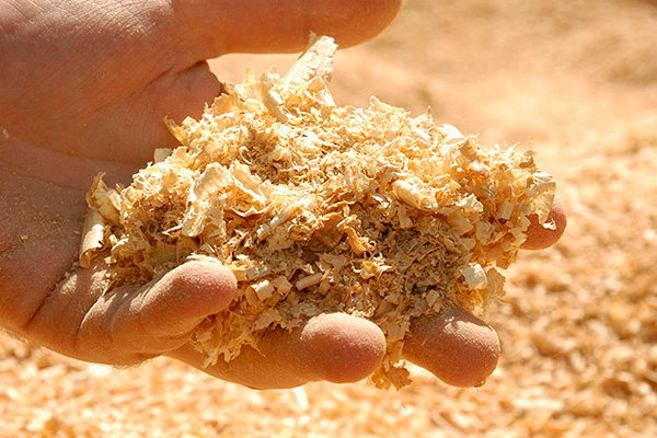 Aserrín