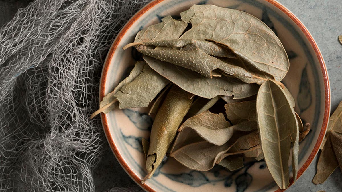 Beneficios del té de boldo realmente increíbles y que aprovechar