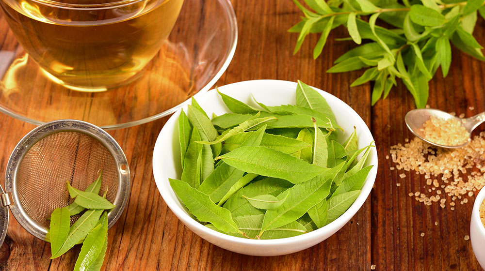 Beneficios del té de cedrón