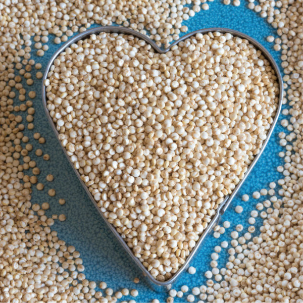 Quinoa para recetas