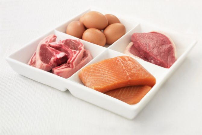 Proteínas, carnes del plato del bien comer
