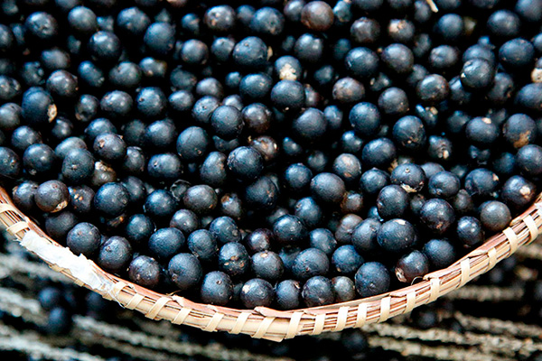 Expresión Abundancia Abuelos visitantes Acaí berry: 10 propiedades de este fruto para tu salud y belleza