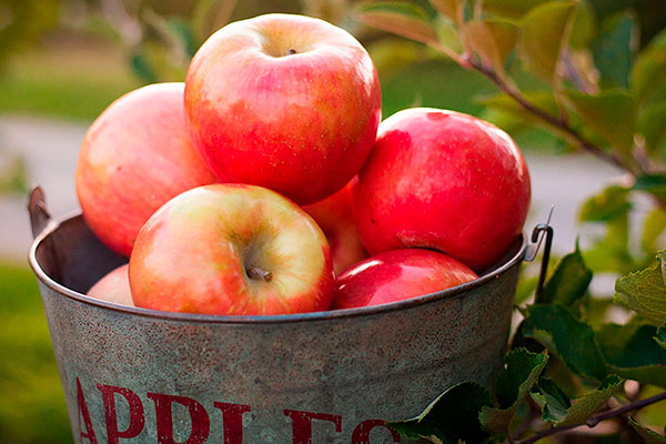 Manzanas