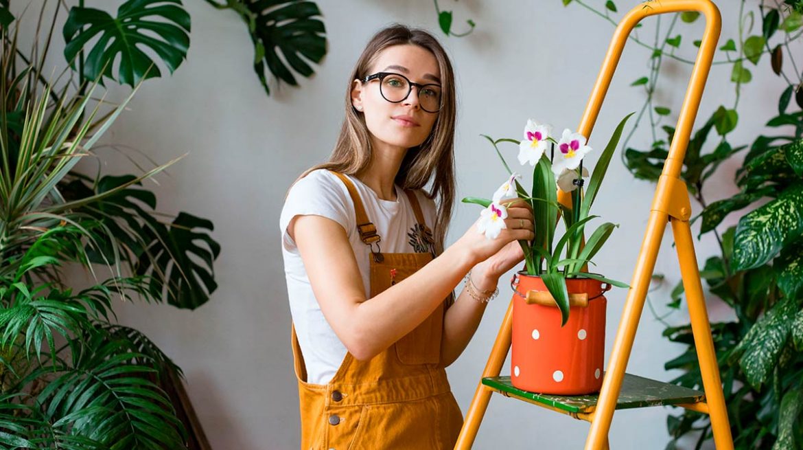 Plantas fáciles de cuidar