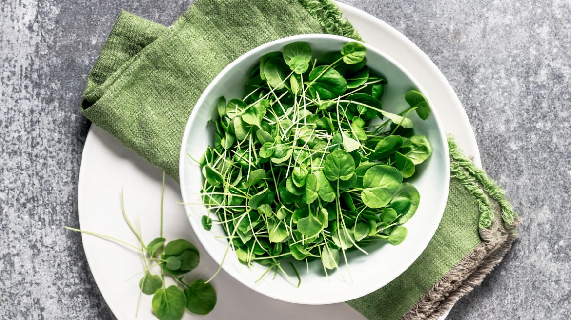 Beneficios del berro