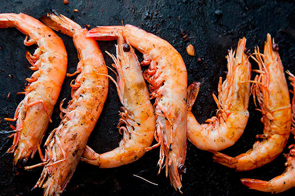 Camarones
