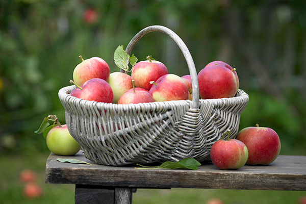 Manzanas