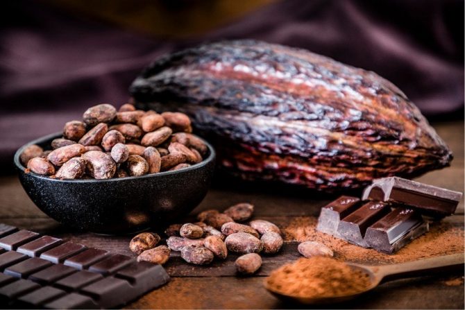 Cacao y chocolate oscuro y amargo