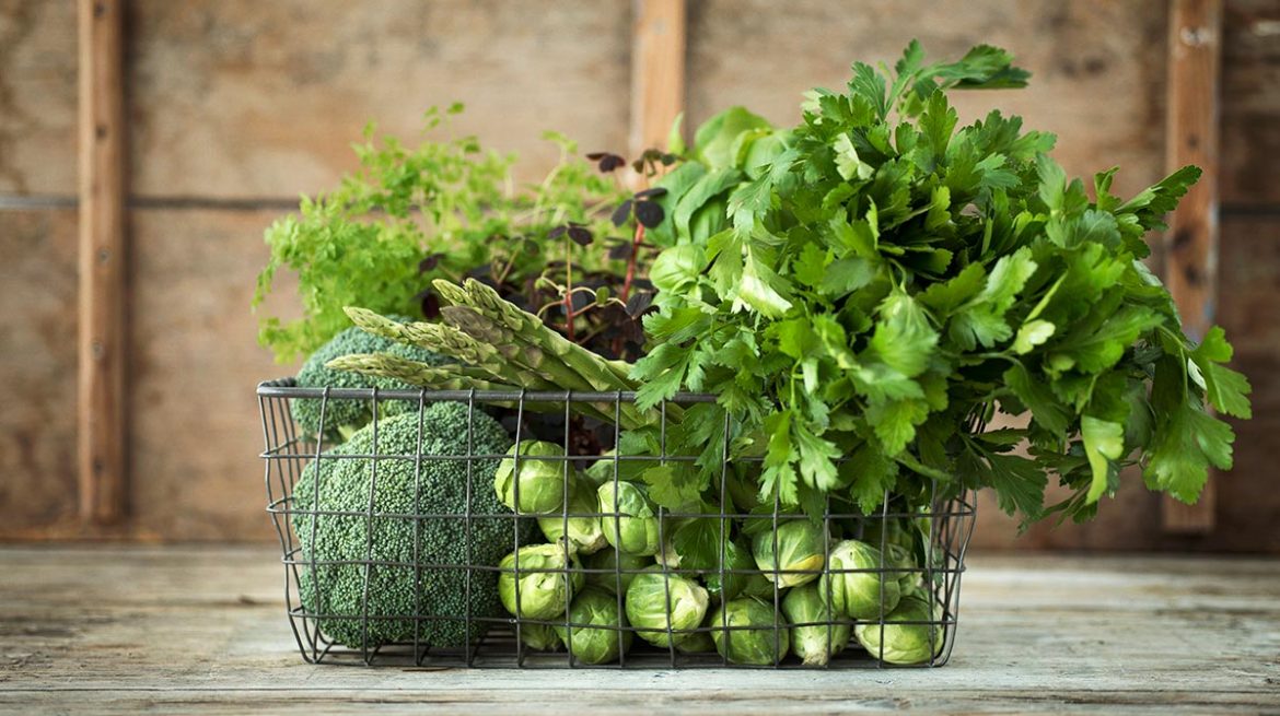 Como conservar el cilantro