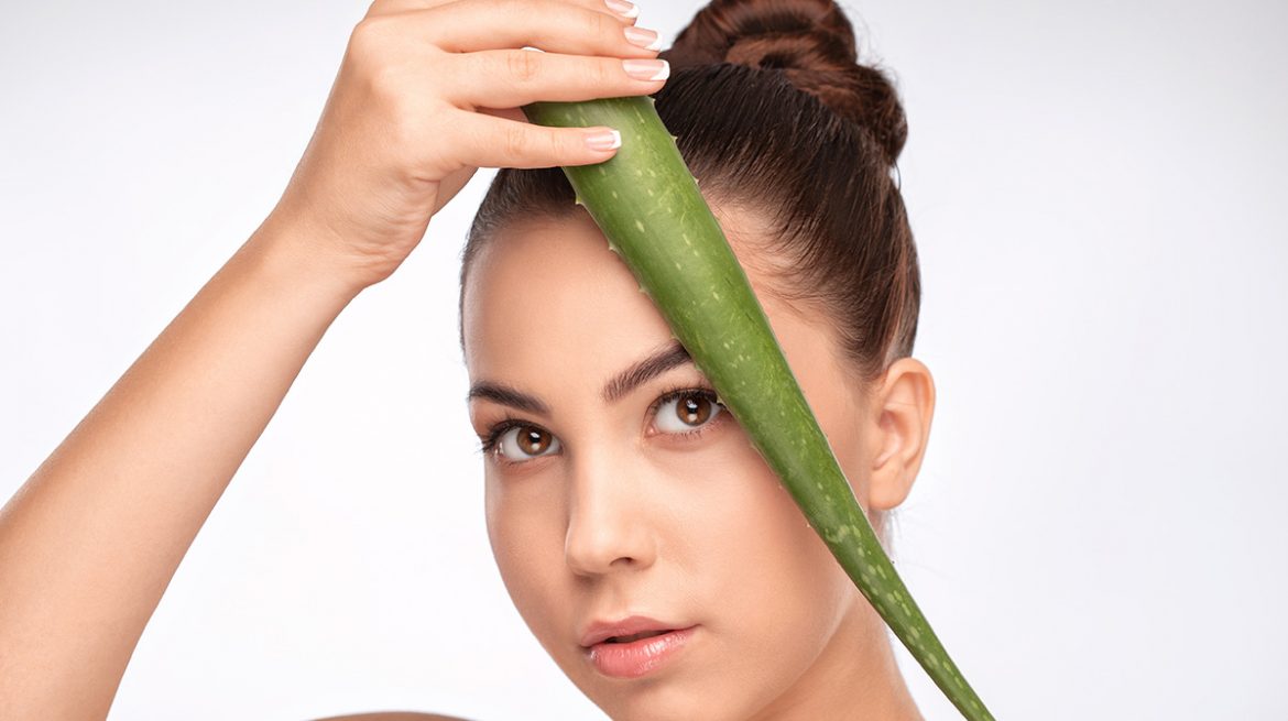 sábila para tus cejas