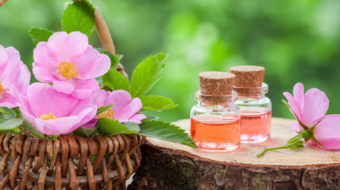 Té de Rosa Mosqueta para la Piel: El Secreto Natural para una Tez Radiante