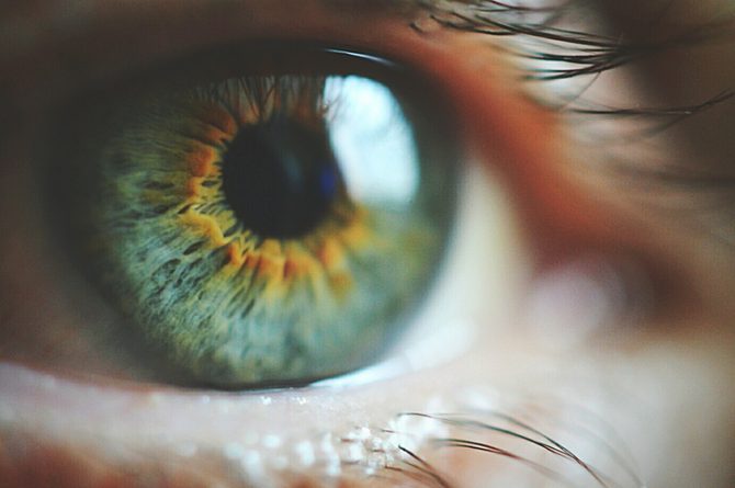alimentos que mejoran la vista y evitan enfermedades de los ojos