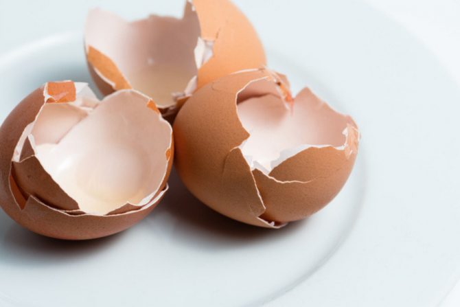 Para qué sirven las cáscaras de huevo