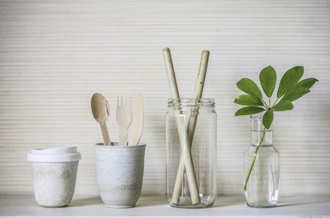 plantas-magicas-para-el-hogar-bambu