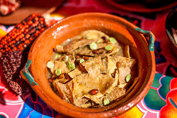 Insectos comestibles en México: jumiles
