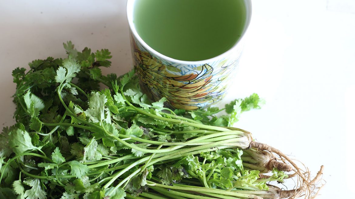 Té de cilantro