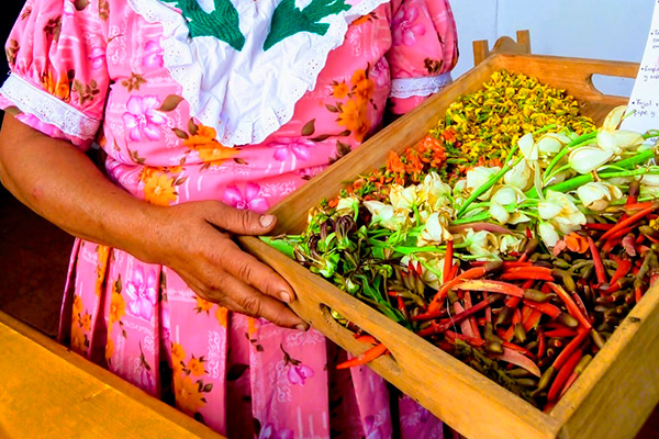 flores comestibles mexicanas