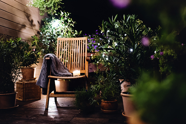 plantas nocturnas