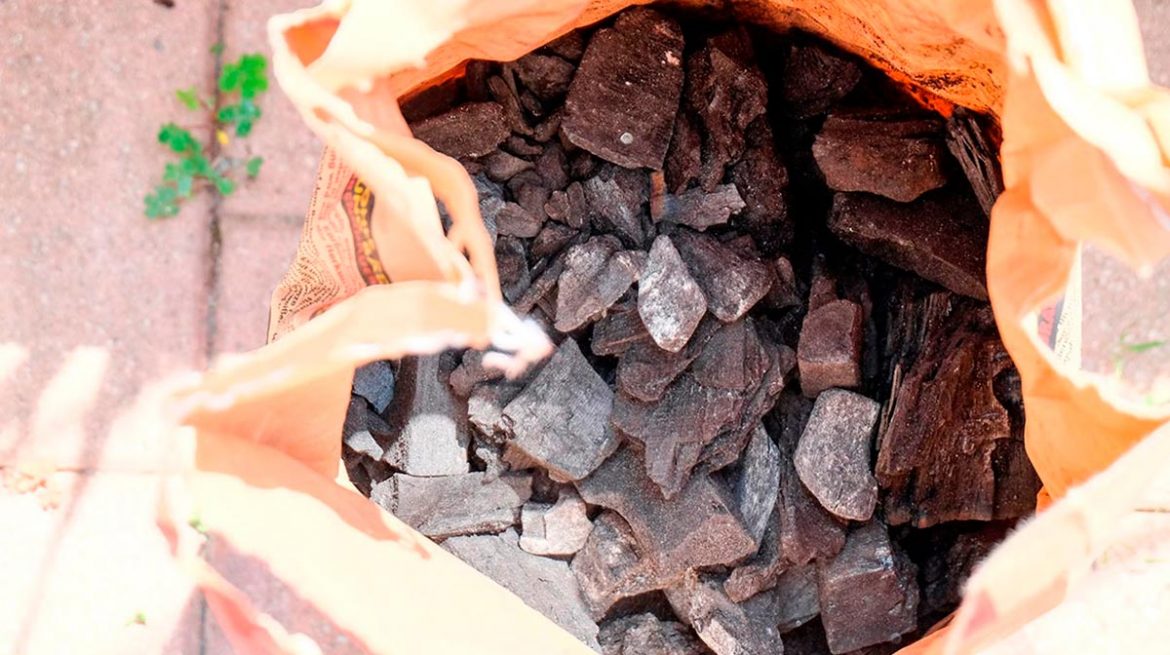 usos del carbón en el hogar