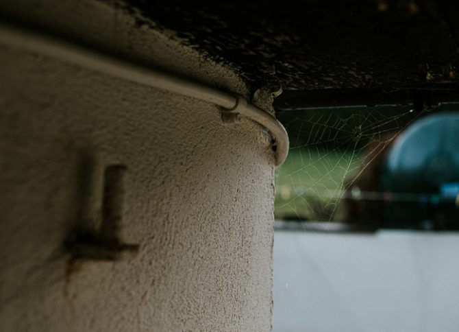 qué hacer para que las arañas no entren a la casa