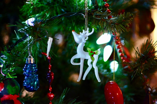 cómo cuidar tu árbol de navidad para que dure más tiempo vivo