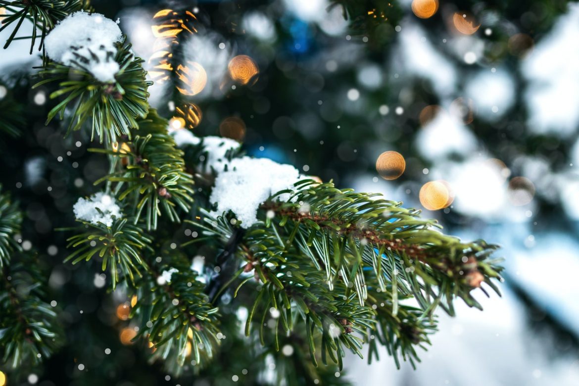 cómo hacer nieve artificial para tu árbol de navidad